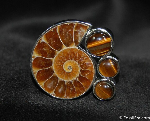 Ring Featuring Cut And Polished Ammonite #648